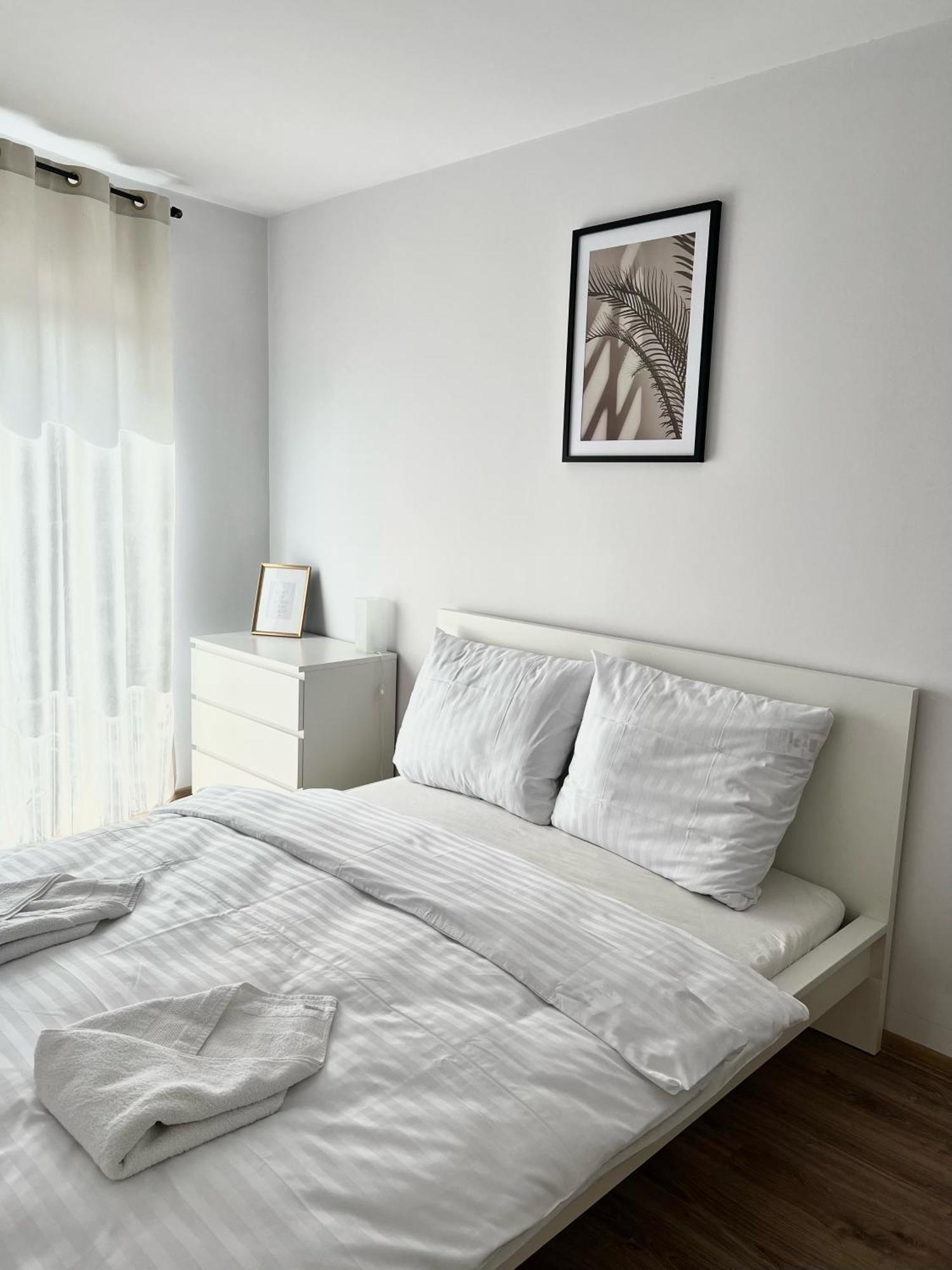 Zielone Apartamenty Katowice خوجوف المظهر الخارجي الصورة